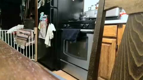 dickwack4u online show from 09/13/25, 01:27