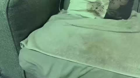 dickwack4u online show from 01/10/26, 02:24