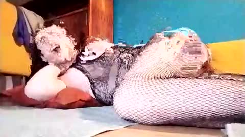 Snapshot of dickycumalotofficial chatting on 03/01/25, 07:15 Dicky online show from 03/01/25, 07:15