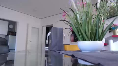 squirtcock online show from 01/11/26, 10:42