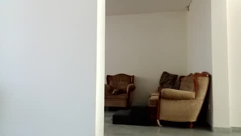 Diego online show from 12/15/24, 06:04