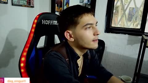 Snapshot of diegorogue_ chatting on 03/12/25, 10:17 Diego rogue online show from 03/12/25, 10:17