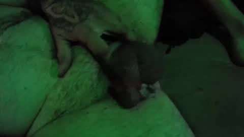 dikkdixon online show from 02/28/26, 03:57