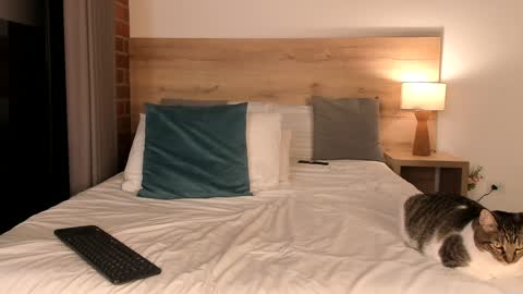 Dilarahkesh  online show from 01/23/25, 10:32