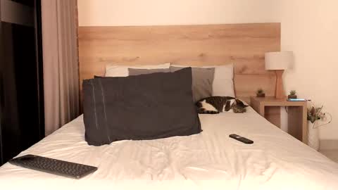 Dilarahkesh  online show from 02/16/25, 07:15