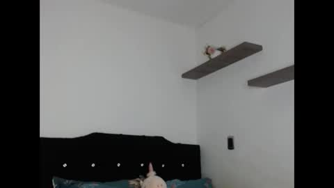 diluka alisson online show from 01/09/26, 07:11