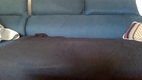 dinnerout1111 online show from 02/17/25, 08:52