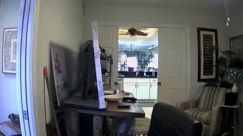 Snapshot of dirkpitt223 chatting on 01/03/25, 04:37 DirtkPitt Fun guy working online show from 01/03/25, 04:37