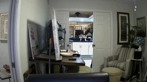 Snapshot of dirkpitt223 chatting on 01/04/25, 02:35 DirtkPitt Fun guy working online show from 01/04/25, 02:35