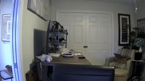 Snapshot of dirkpitt223 chatting on 01/04/25, 06:40 DirtkPitt Fun guy working online show from 01/04/25, 06:40