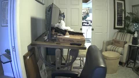 Snapshot of dirkpitt223 chatting on 01/21/25, 07:17 DirtkPitt Fun guy working online show from 01/21/25, 07:17