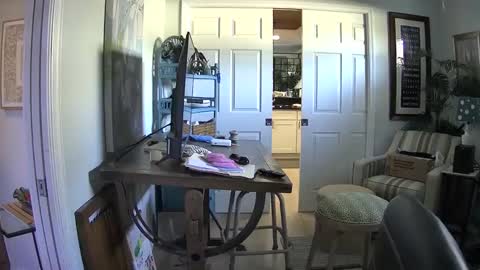 Snapshot of dirkpitt223 chatting on 02/01/25, 06:40 DirtkPitt Fun guy working online show from 02/01/25, 06:40