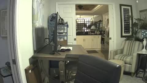 Snapshot of dirkpitt223 chatting on 02/09/25, 06:01 DirtkPitt Fun guy working online show from 02/09/25, 06:01