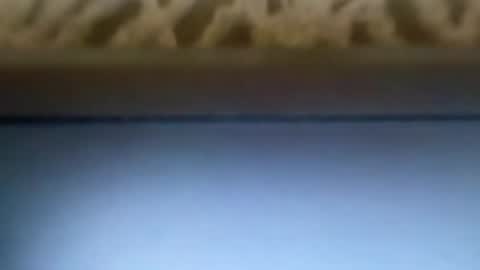 free4fun online show from 04/09/26, 06:30