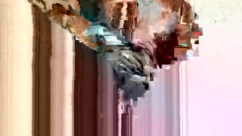 dirtmcgirt82 online show from 02/11/25, 05:26