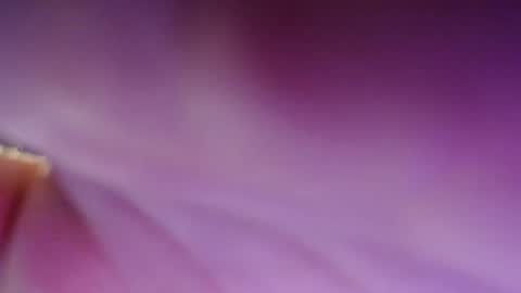 Dirty Kiss69 online show from 02/17/25, 11:31