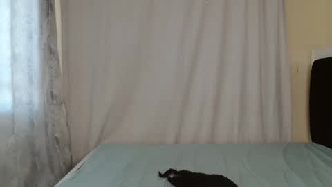 Snapshot of disah_002 chatting on 05/28/26, 11:18 disah_002 online show from 05/28/26, 11:18