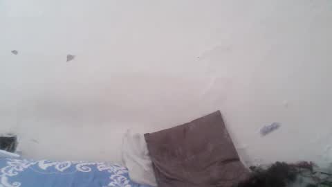 diva_cheupe online show from 03/01/26, 06:54