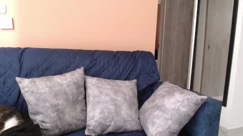 Hera online show from 04/08/26, 12:38