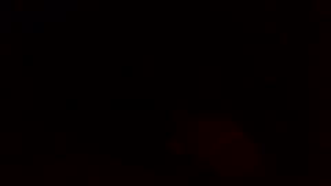 dixienormes online show from 12/08/24, 11:14