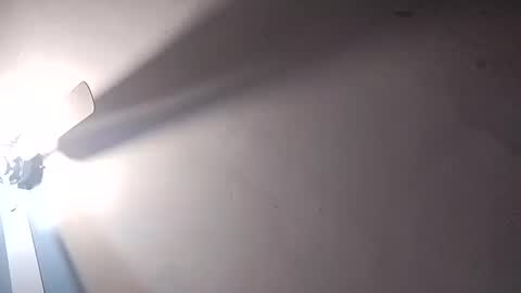 dixonbird41 online show from 02/25/25, 06:20