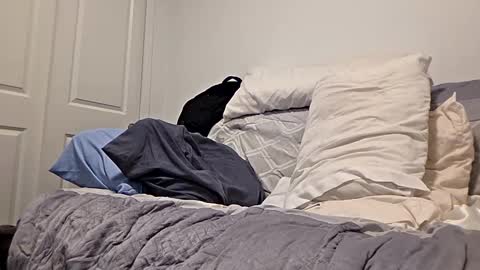 djaxxx_2020 online show from 03/27/26, 03:12