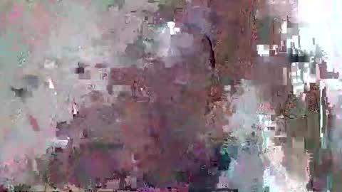 Snapshot of djentlemen1 chatting on 11/01/25, 10:50 djentlemen1 online show from 11/01/25, 10:50