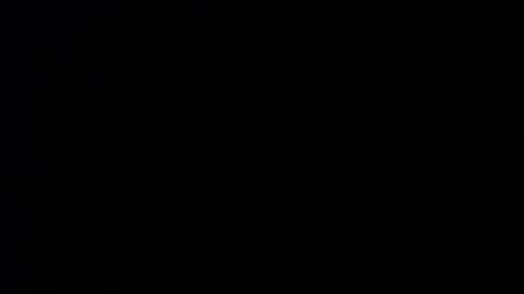 dmyacnt online show from 11/16/25, 05:35