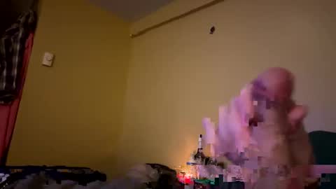 dnice69968127 online show from 01/06/25, 12:59