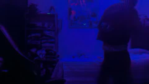 Dogboi online show from 06/25/26, 04:34