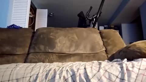 dogbone999081 online show from 12/03/25, 08:45