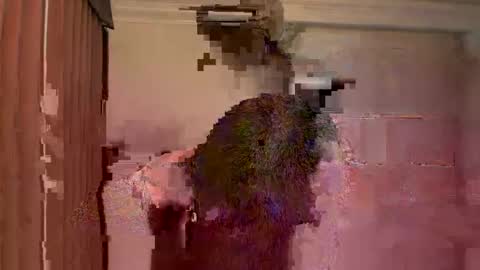 GIJO online show from 03/15/26, 05:24