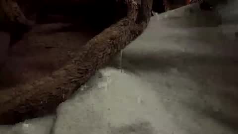 Snapshot of doingmek9 chatting on 02/20/25, 11:20 doingmek9 online show from 02/20/25, 11:20