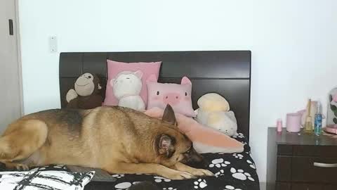 Auro and Santiago online show from 03/04/25, 02:49