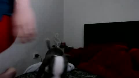 Catherine XXX online show from 02/08/25, 09:03