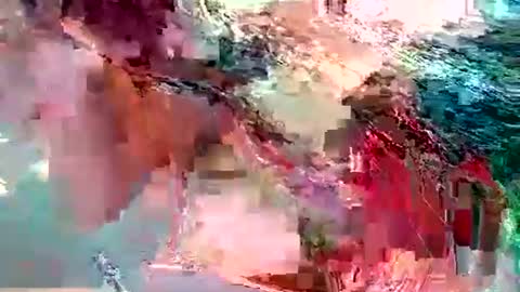 dolly_joana online show from 11/10/25, 12:26