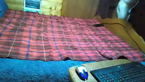 dolomois online show from 02/12/25, 01:06