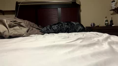 Snapshot of dolphin22356 chatting on 01/11/25, 06:45 Ben Dover online show from 01/11/25, 06:45