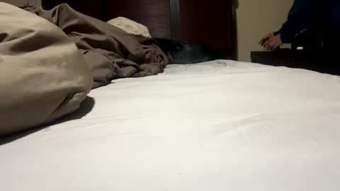 Snapshot of dolphin22356 chatting on 01/17/25, 09:17 Ben Dover online show from 01/17/25, 09:17