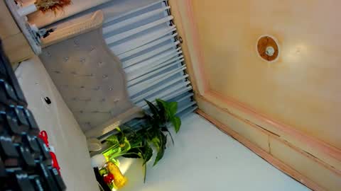 CALL ME BABY BELLA online show from 10/03/25, 10:40