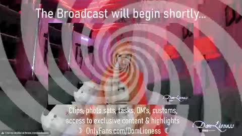 Snapshot of domlioness chatting on 10/31/25, 11:17 DomLioness online show from 10/31/25, 11:17