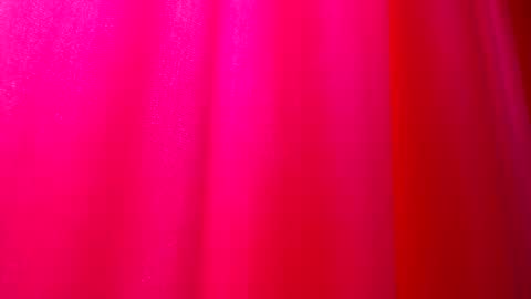 DommeTomorrow online show from 02/25/25, 05:36