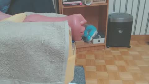 Don online show from 03/29/26, 05:57