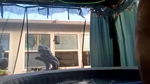 Snapshot of doobie1717 chatting on 09/28/25, 12:43 doobie1717 online show from 09/28/25, 12:43