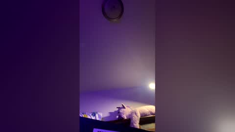 doodlez224472 online show from 04/16/26, 01:56