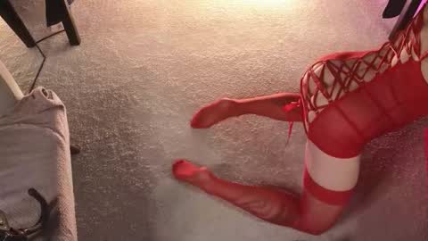 Dorothy Next stream on Monday at 3am-9am online show from 11/20/25, 04:01