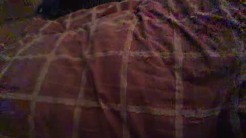 Hello  welcome to Slutsville  I am the Naked Chef  really  but you may call me Peter online show from 10/26/25, 10:54