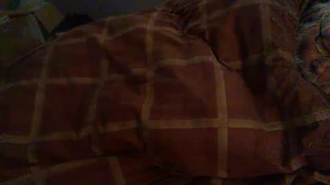 Hello  welcome to Slutsville  I am the Naked Chef  really  but you may call me Peter online show from 02/12/26, 08:53