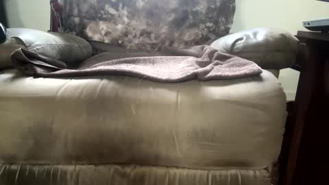 dotcom0062 online show from 11/15/25, 06:26