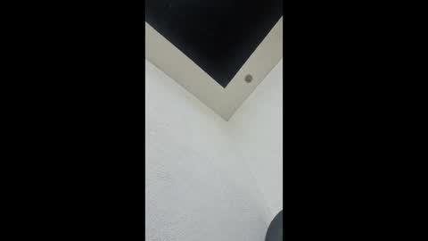 dots66289308004 online show from 03/28/26, 12:10